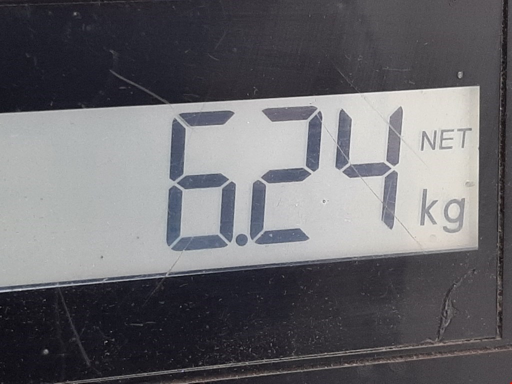 Ступица задняя правая RENAULT Scenic I 1996-2003