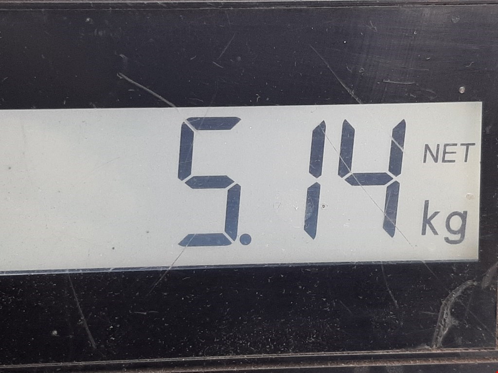 Диск тормозной задний PEUGEOT 206 1998-2012