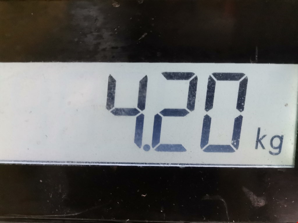 Коллектор выпускной RENAULT Espace 1997-2003