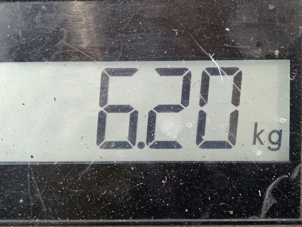 Стабилизатор передний (поперечной устойчивости подвески) AUDI 80 B4 1991-1996