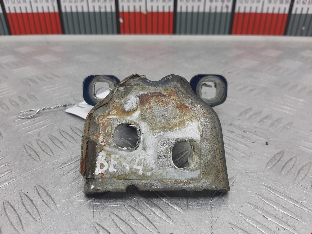 Петля двери передней правой Renault Sandero 1 (2007-2014)