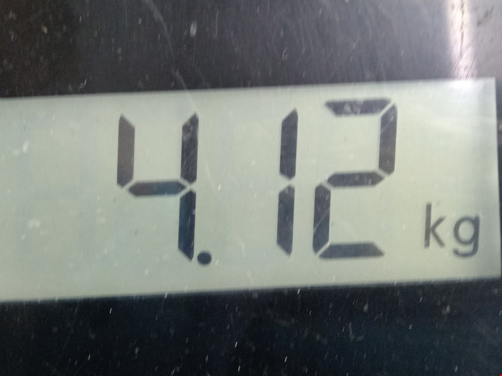 Рычаг передний правый BMW X5 F15/F85 2013-2018