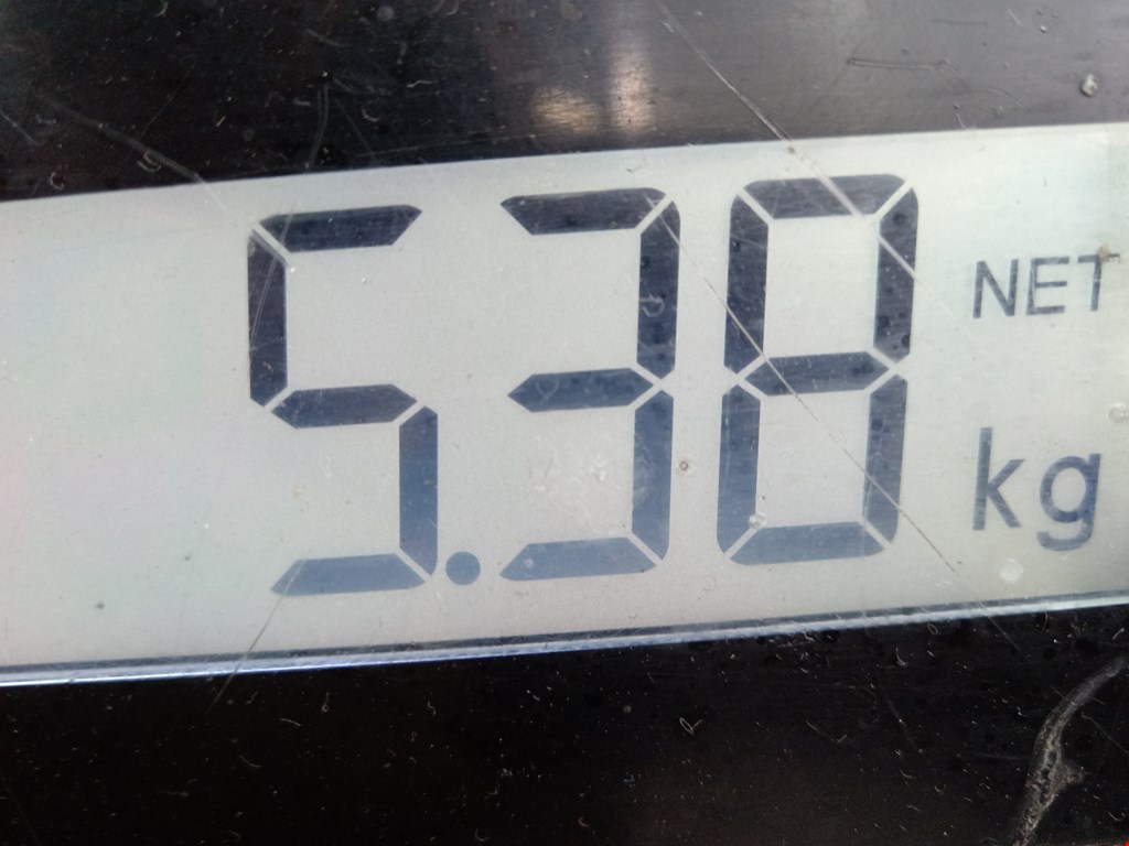 Стабилизатор передний (поперечной устойчивости подвески) OPEL Zafira B 2005-2012