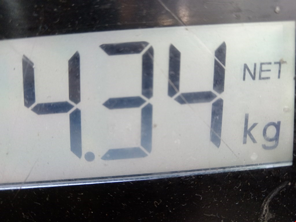 Поддон масляный двигателя FORD KA 1996-2008