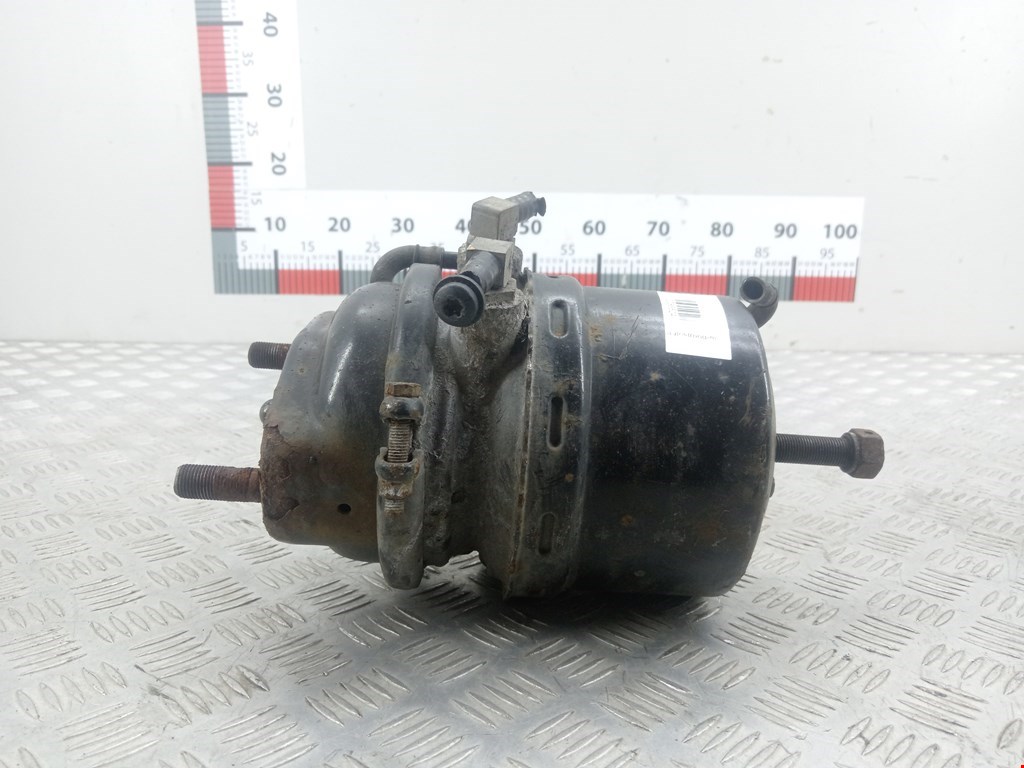 Камера тормозная MAN TGL (2005-2019)