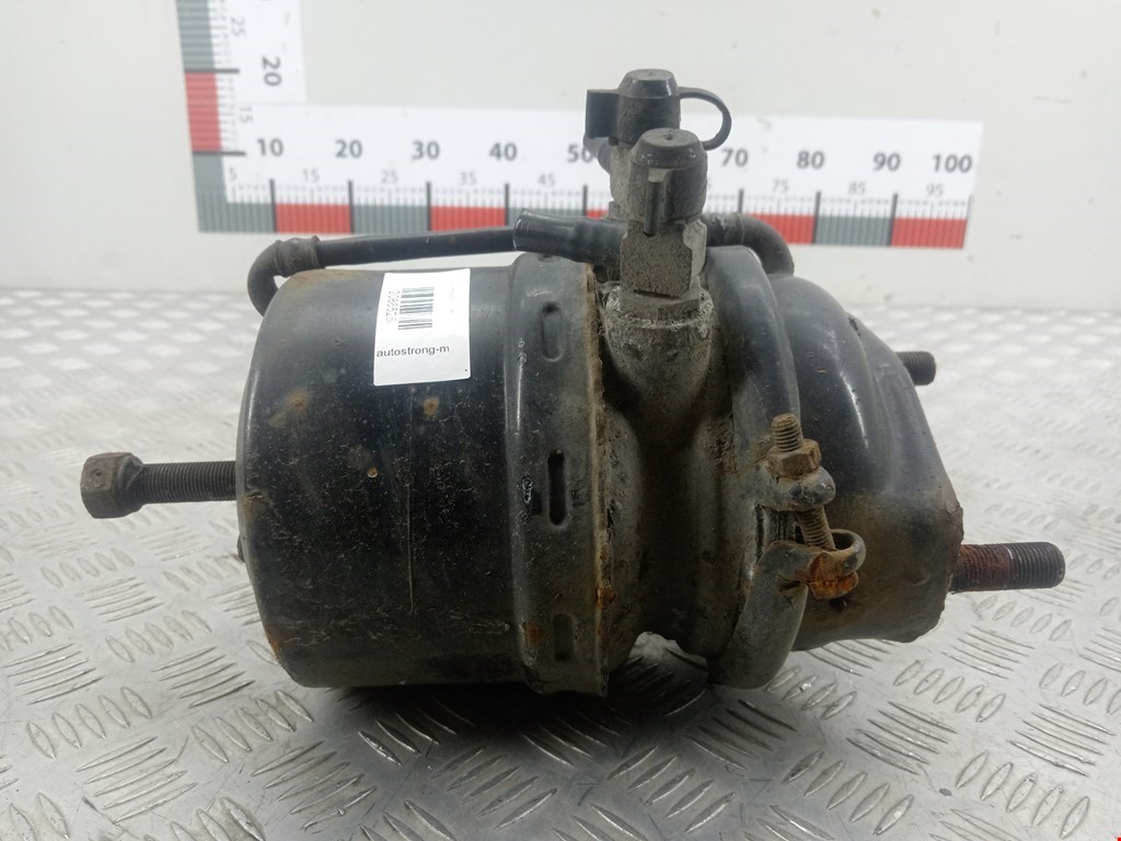 Камера тормозная MAN TGL (2005-2019)