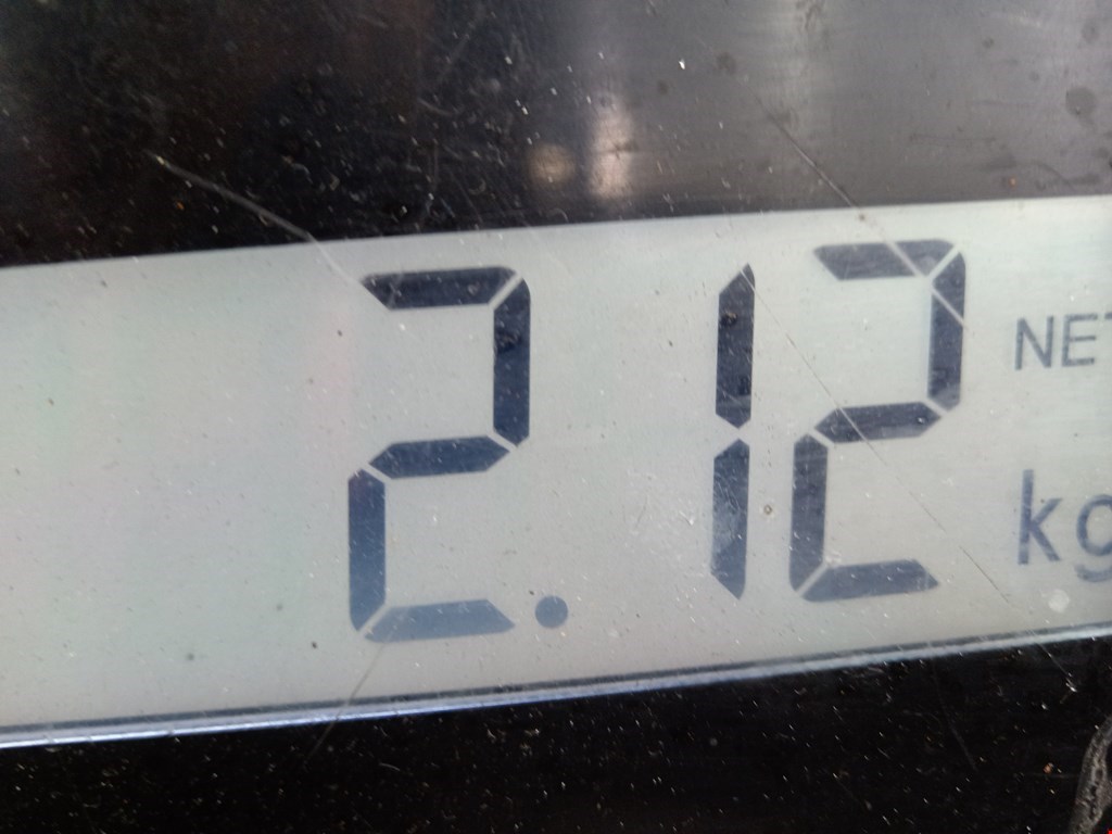 Поддон масляный двигателя VOLKSWAGEN Golf V 2003-2009