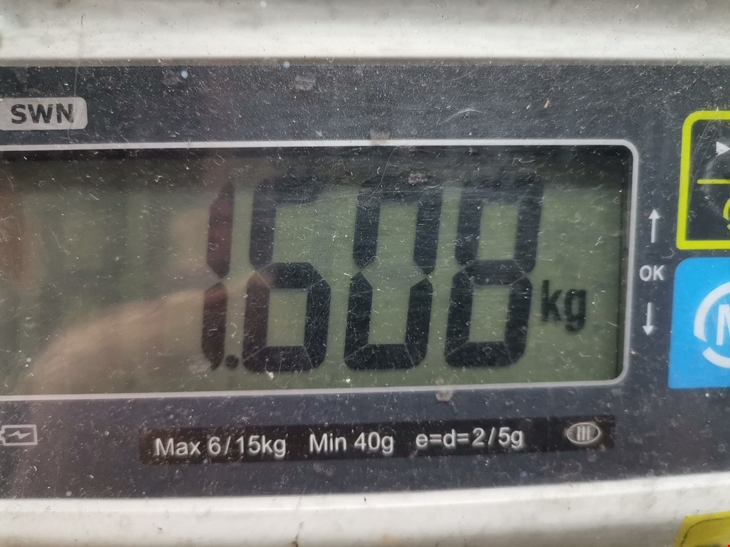 Датчик уровня в бачок омывателя JAGUAR XF X250 2007-2015