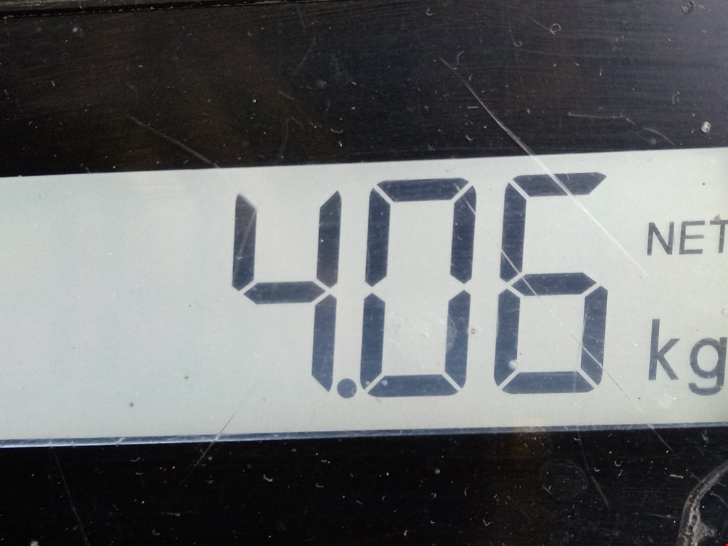 Коллектор выпускной PEUGEOT 307 2001-2008