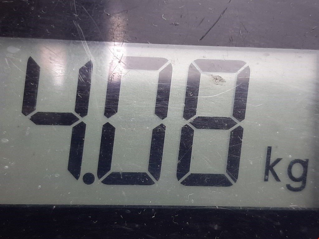 Амортизатор передний правый VOLKSWAGEN Golf III 1991-1997