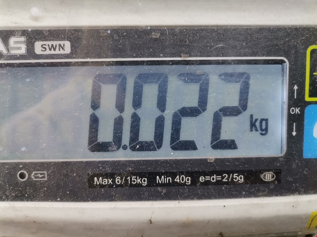 Реле FORD Focus I 1998-2005