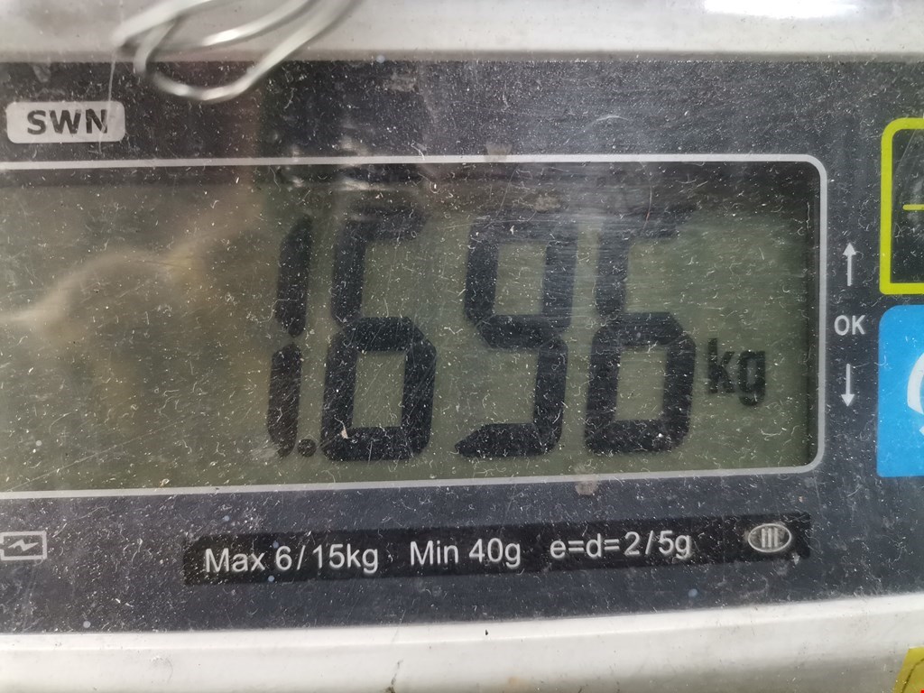 Блок реле VOLKSWAGEN Touareg 2002-2010