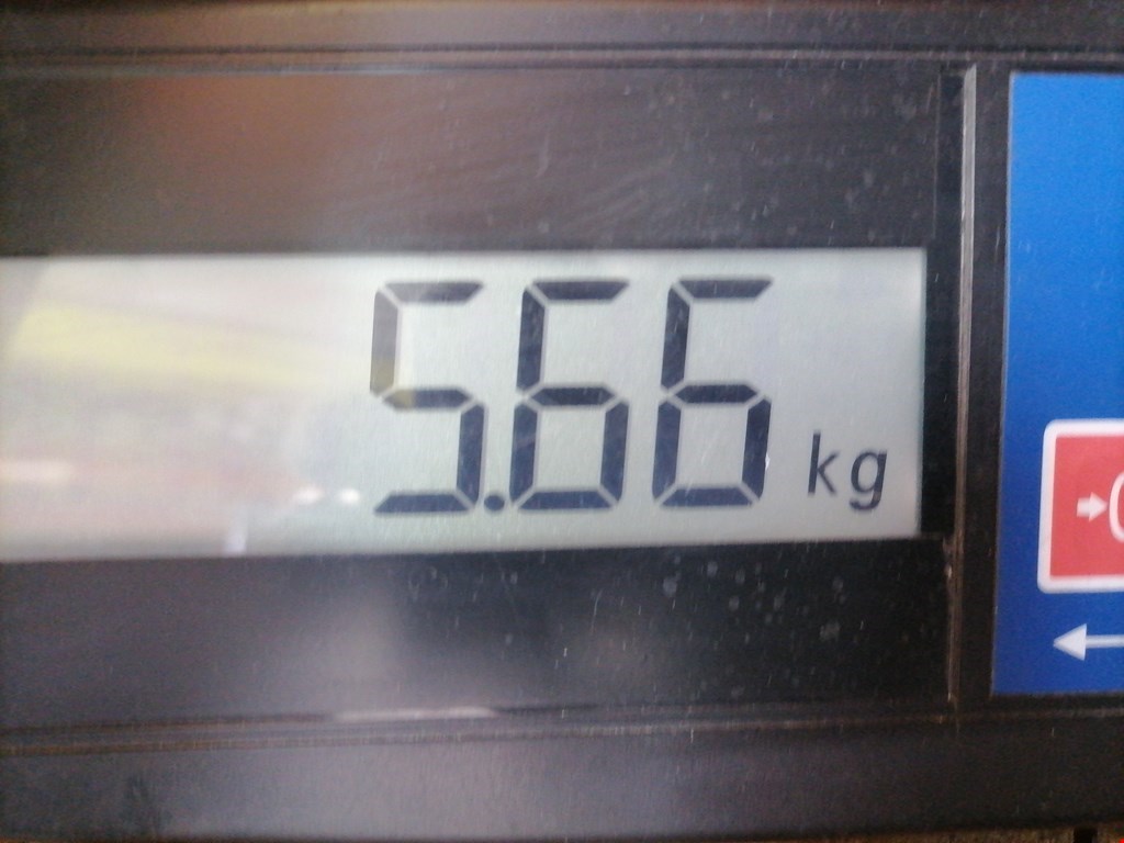 Усилитель переднего бампера (передний) VOLKSWAGEN Golf IV 1997-2003