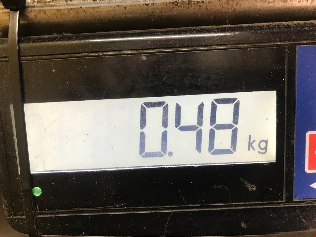 Подшипник выжимной FORD Focus I 1998-2005