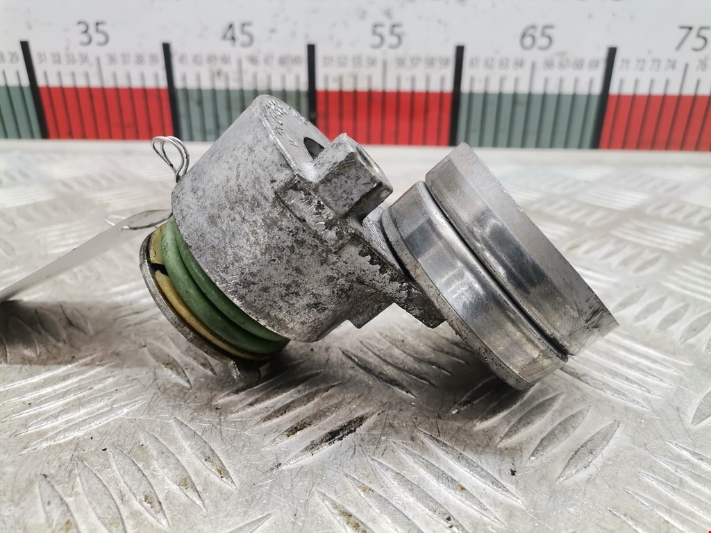 Натяжитель ремня генератора (приводного поликлинового ремня Renault Laguna 2 (2000-2007)