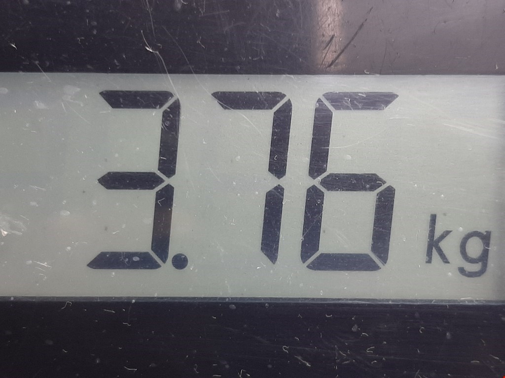 Пружина задняя левая/правая HYUNDAI Verna /Accent III 2006-2010