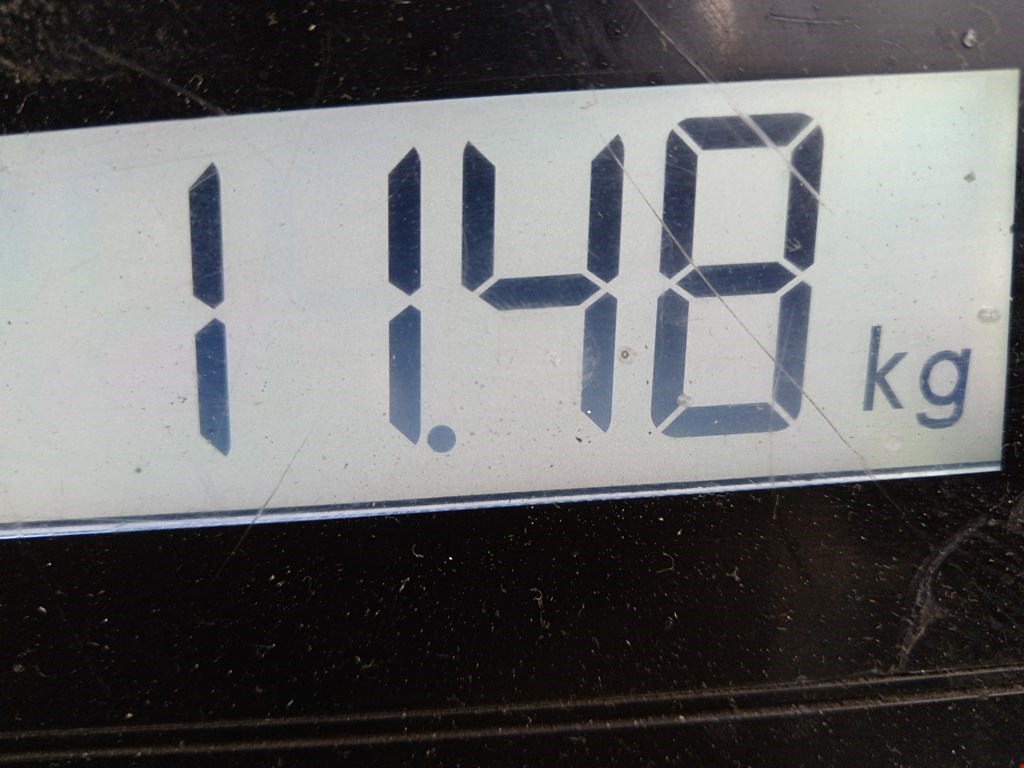 Амортизатор передний левый VOLKSWAGEN Passat B5 1997-2005