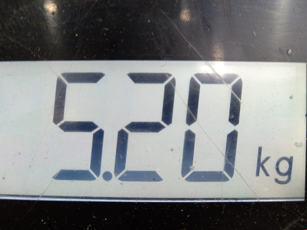 Амортизатор передний правый OPEL Corsa C 2000-2006