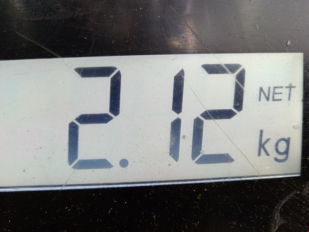 Амортизатор задний левый VOLKSWAGEN Passat B5 1997-2005