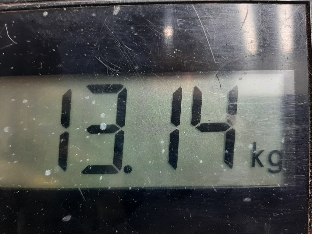 Маховик (демпфер сцепления) FORD Focus I 1998-2005