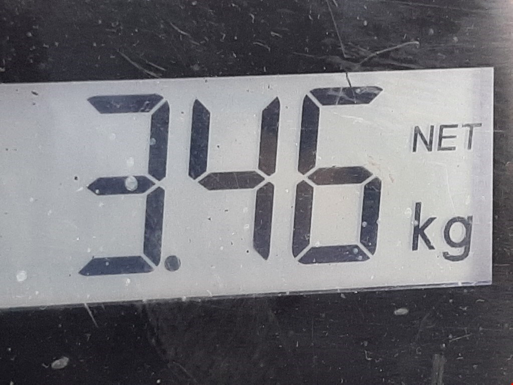 Коллектор выпускной FORD Focus I 1998-2005