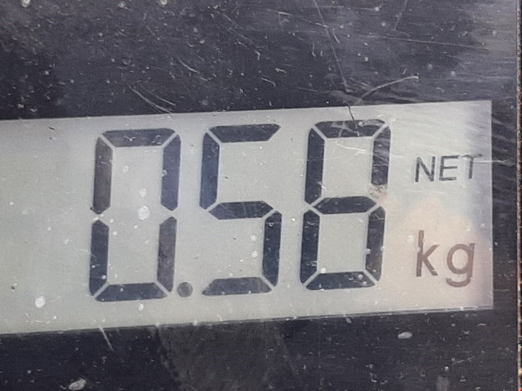 Катушка зажигания FORD Focus I 1998-2005