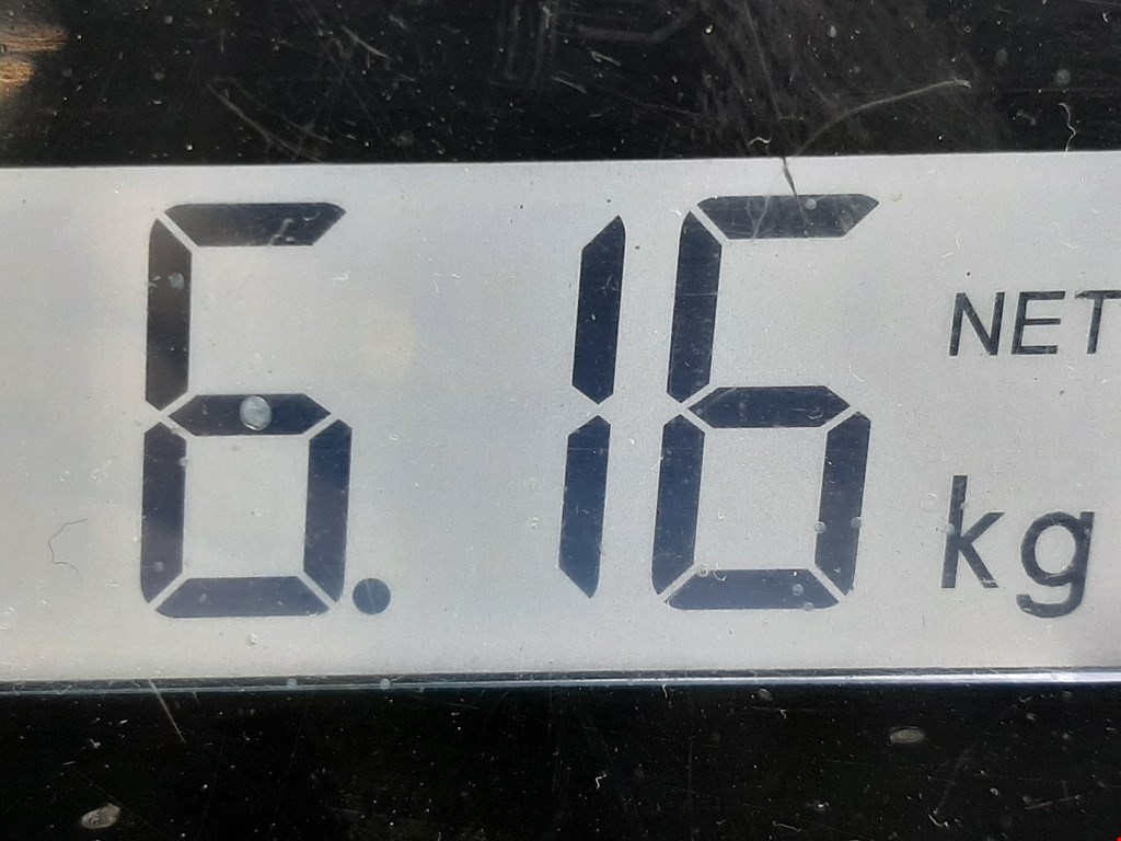 Ступица передняя левая FORD Fiesta 2001-2008