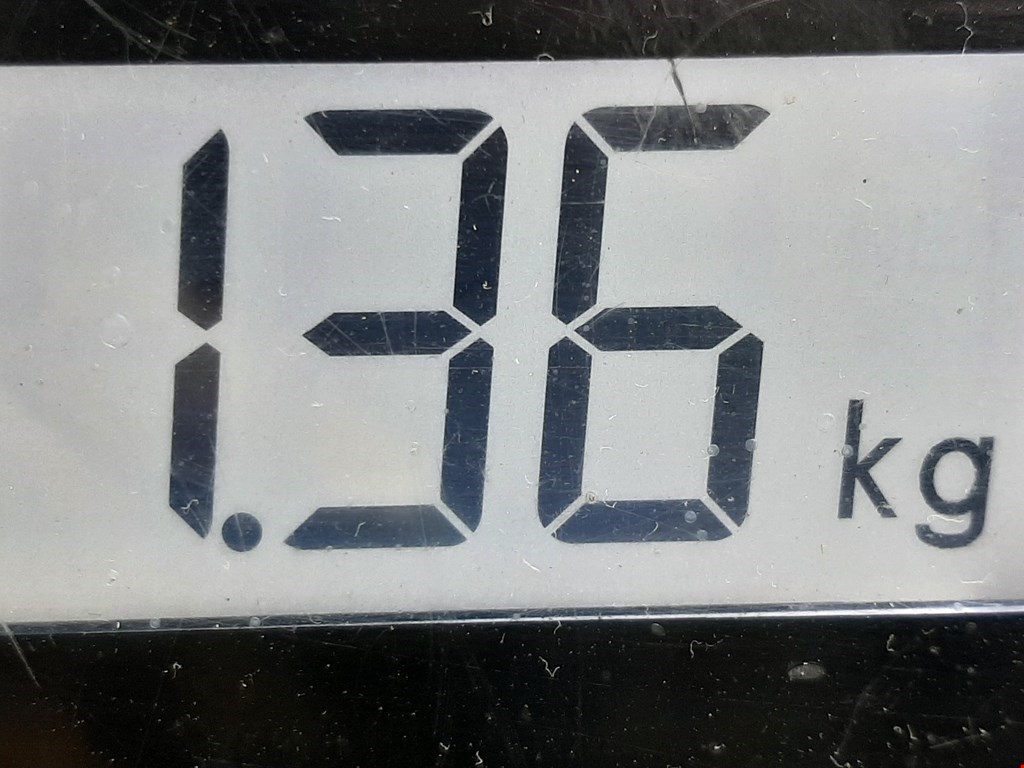 Амортизатор задний левый PEUGEOT 206 1998-2012