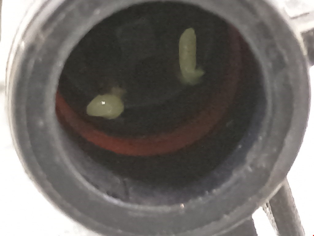 Датчик ABS передний левый JAGUAR XF X250 2007-2015