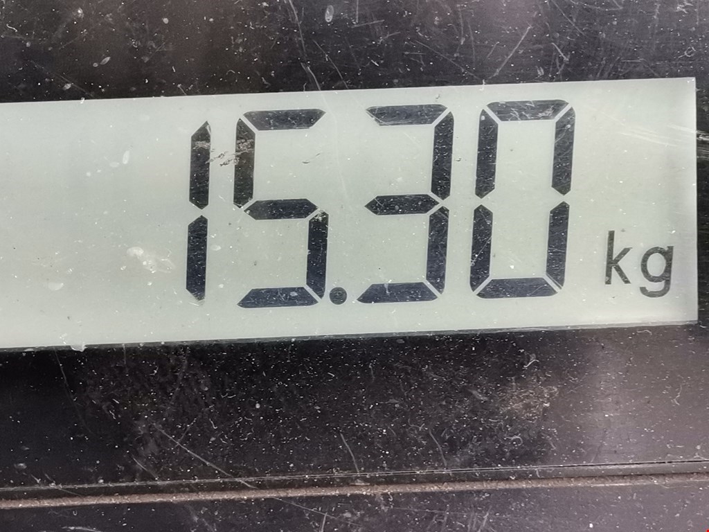 Рычаг задний правый BMW X3 E83 2003-2010