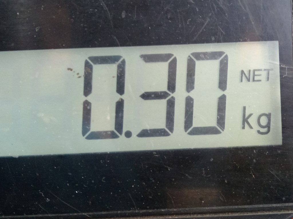 Сигнал звуковой (гудок клаксон) DACIA Logan I 2006-2012