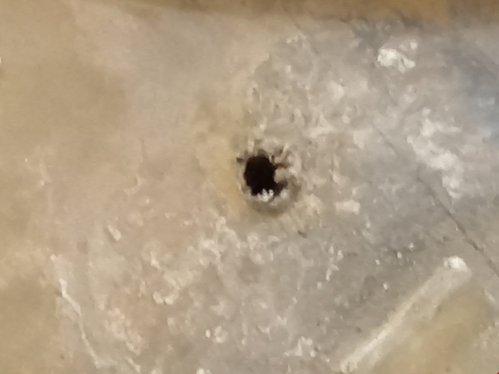 Бачок расширительный FIAT Ulysse 2002-2010