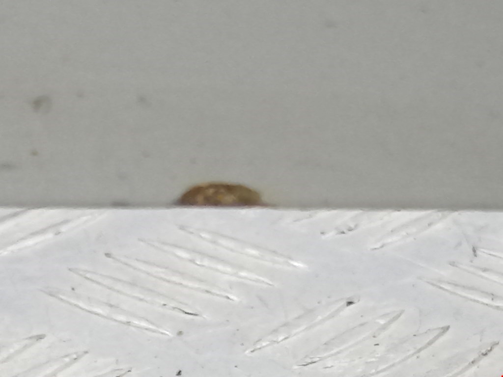 Дверь передняя правая SEAT Alhambra 1996-2010