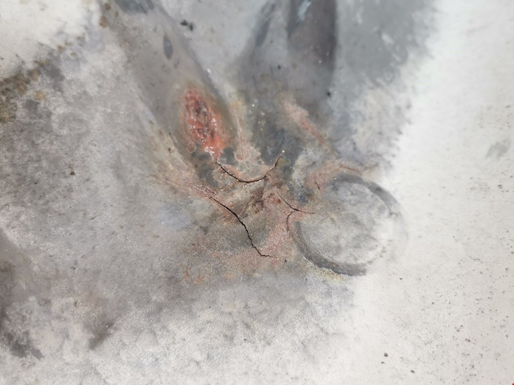 Экран тепловой RENAULT Scenic I 1996-2003