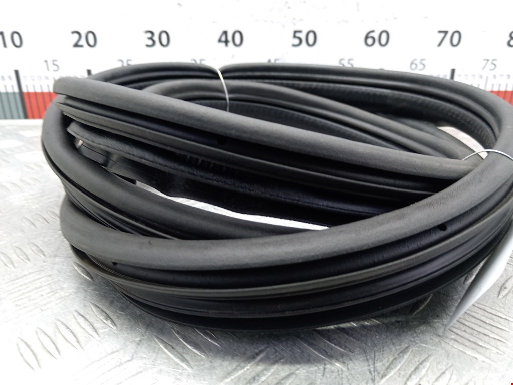 Уплотнитель двери RENAULT Megane II 2002-2009