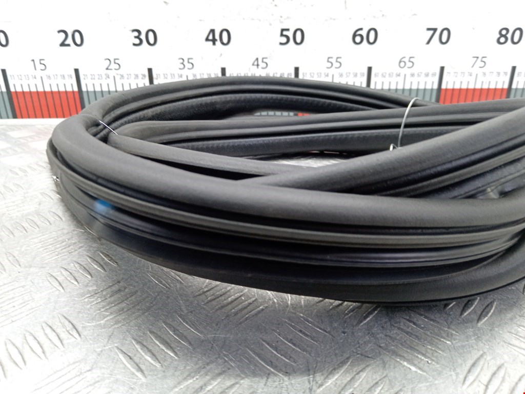 Уплотнитель двери RENAULT Megane II 2002-2009