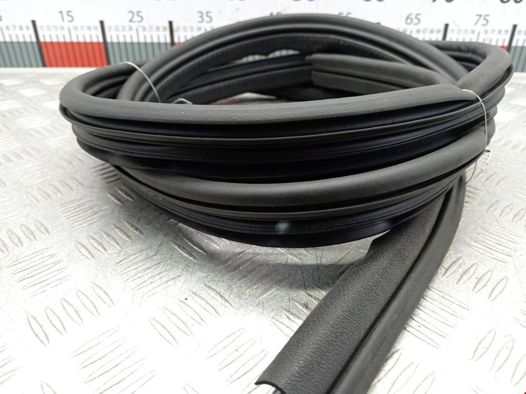 Уплотнитель двери RENAULT Megane II 2002-2009