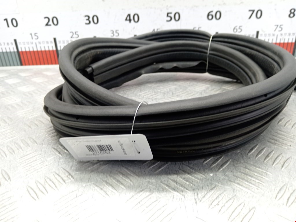 Уплотнитель двери RENAULT Megane II 2002-2009