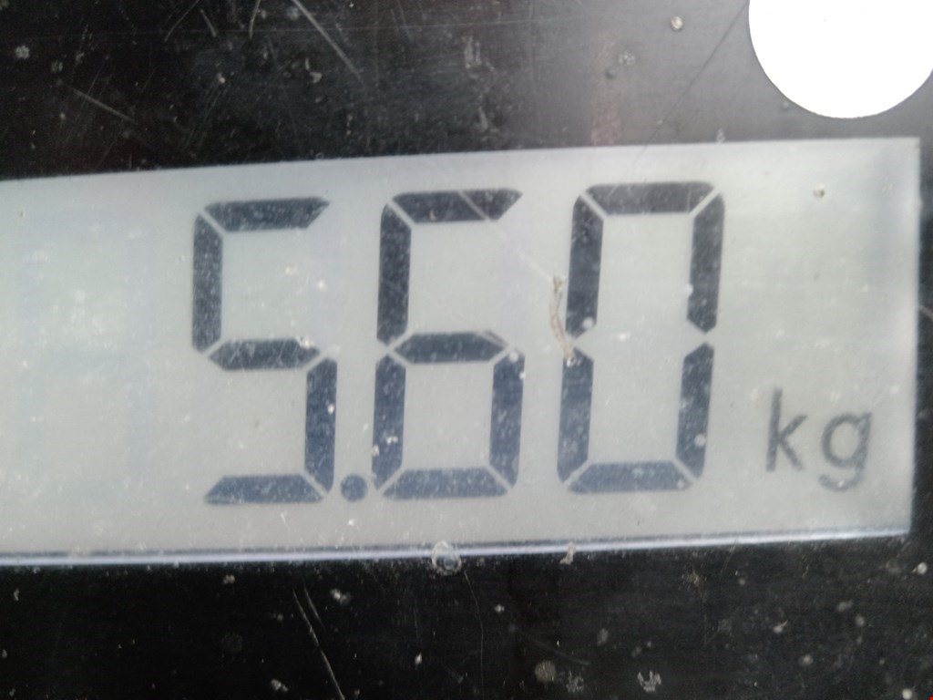 Коллектор выпускной PEUGEOT 307 2001-2008