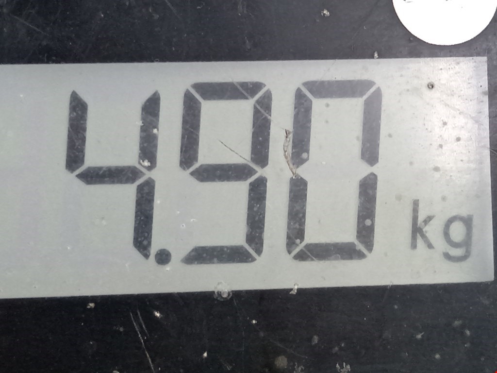 Колонка рулевая VOLKSWAGEN Passat B6 2005-2011