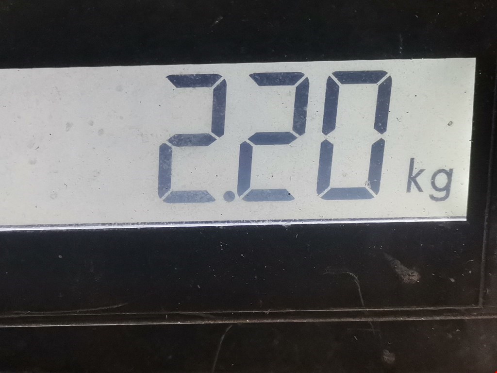 Усилитель тормозов вакуумный CITROEN Berlingo 2008-н.в.