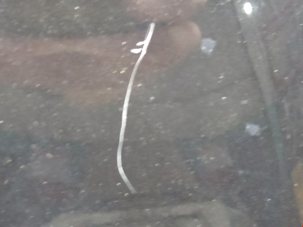 Крыло переднее правое VOLKSWAGEN Touran 2003-2010