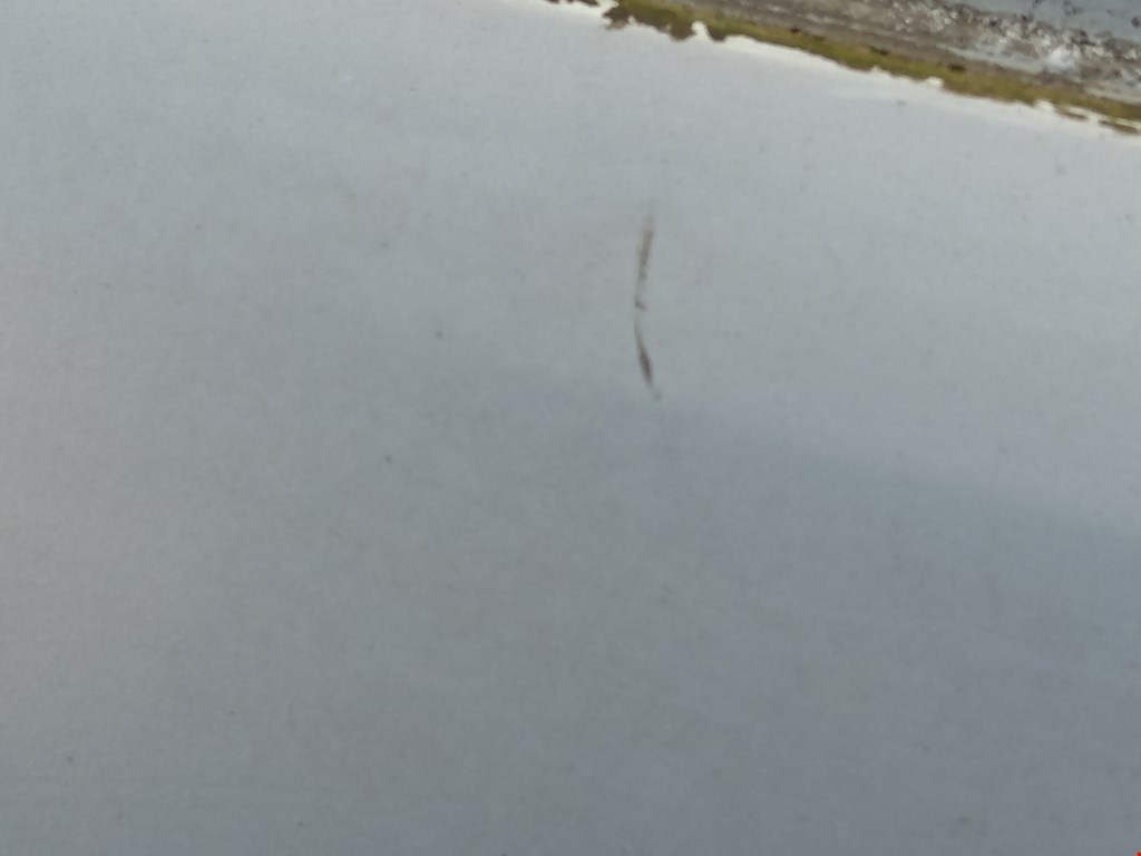 Дверь передняя правая RENAULT Scenic I 1996-2003