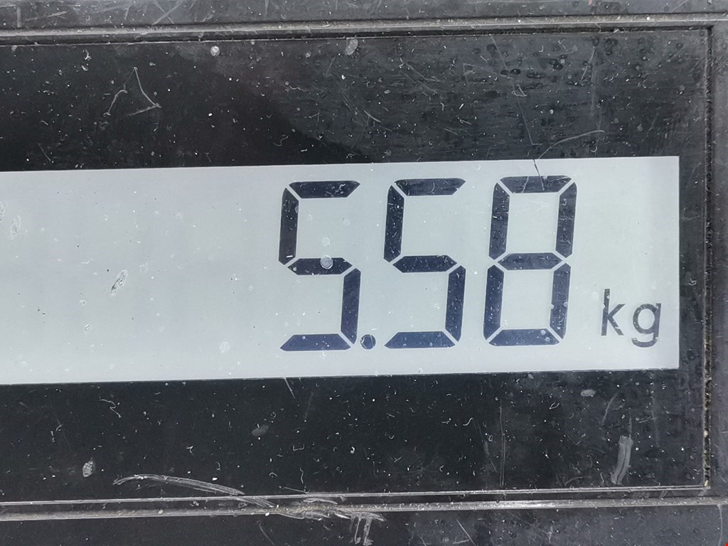 Стекло кузовное глухое левое SUBARU Forester II 2002-2008