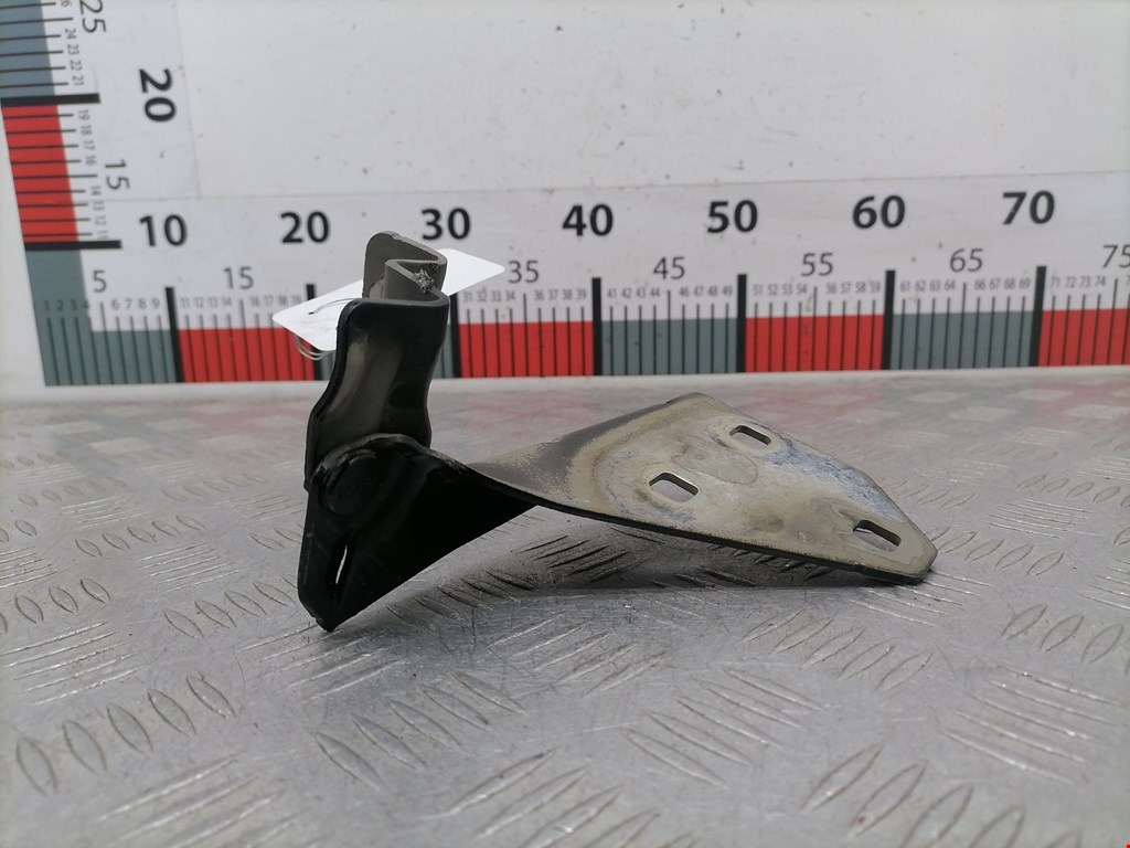 Петля капота левая/правая RENAULT Megane II 2002-2009