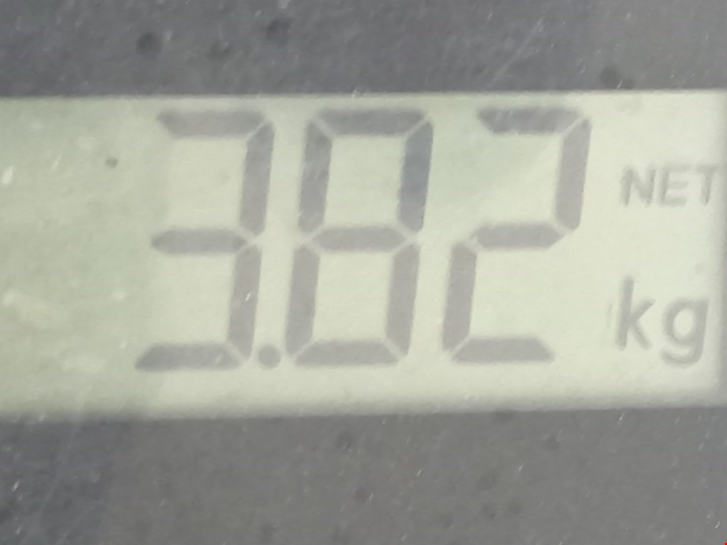 Стабилизатор передний (поперечной устойчивости подвески) AUDI A3 8L 1996-2003