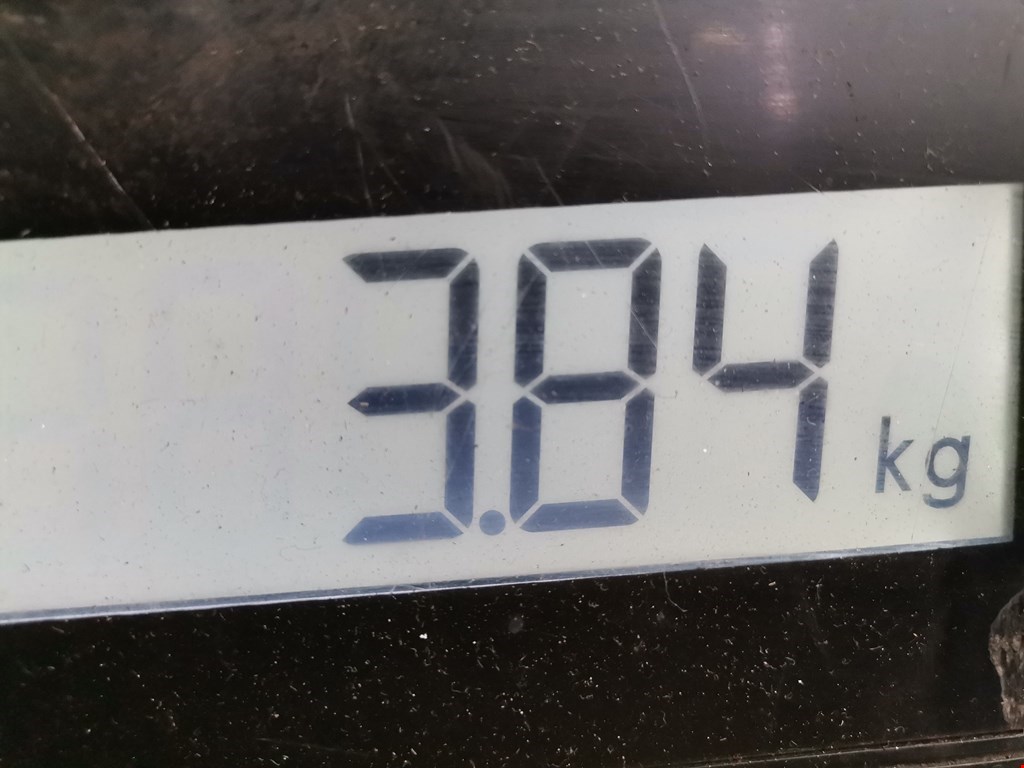 Амортизатор задний левый SEAT Alhambra 1996-2010