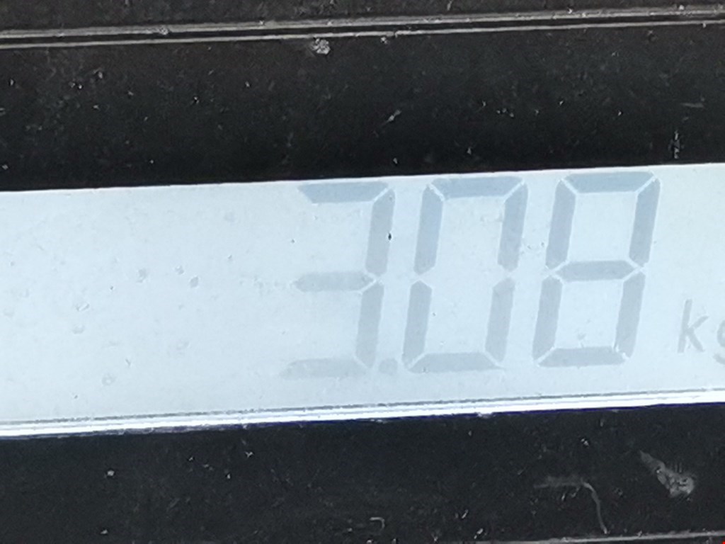 Усилитель тормозов вакуумный RENAULT Espace 1997-2003