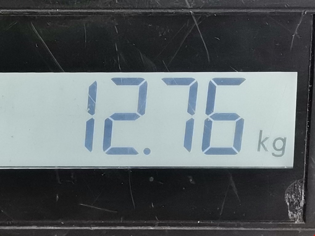 Амортизатор передний левый AUDI A3 8L 1996-2003