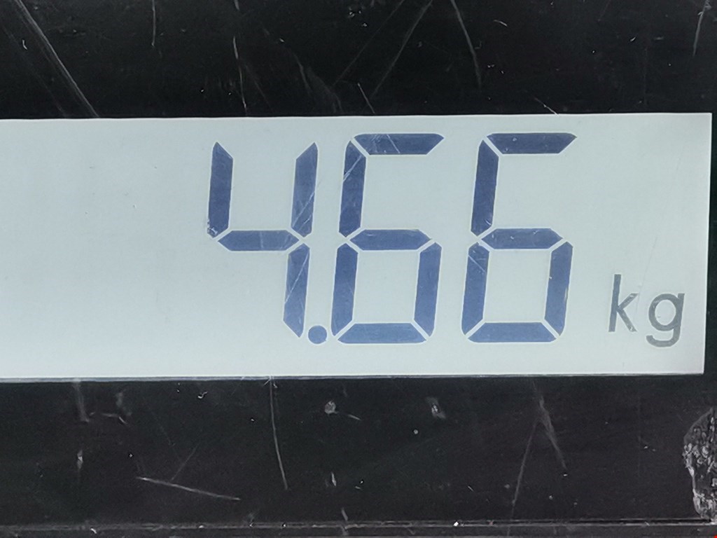 Амортизатор задний левый PEUGEOT 308 2007-2015